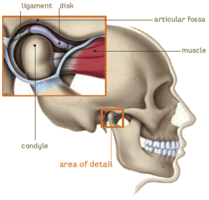Drawing temporomandibular joint